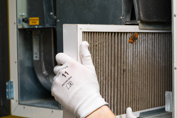 Best Dryer Vent Cleaning Services  in Berwyn Heights, MD