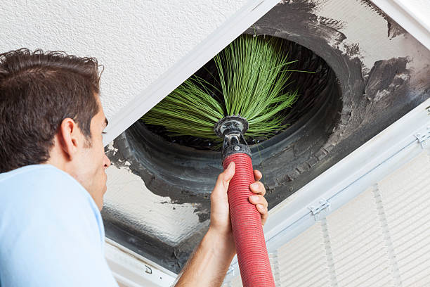 Best Home Air Vent Cleaning  in Berwyn Heights, MD